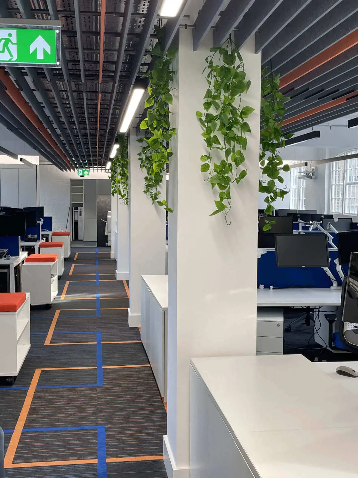 Office-space-with-acoustic-ceilings-2