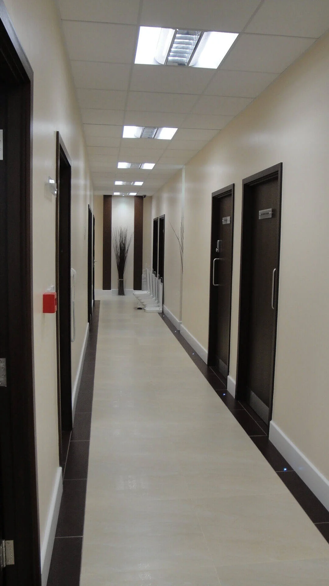 Solid-partitions-in-office-space